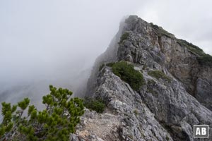 Der Grat vom Niederecksattel zum Gaisalphorn