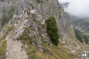 Am Grat vom Niederecksattel zum Rubihorn: Von rechts schert der Wanderweg vom Gaisalpsee ein