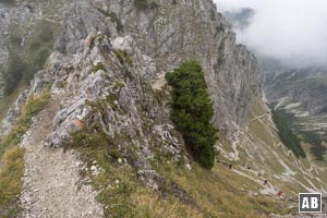 Am Grat vom Niederecksattel zum Rubihorn: Von rechts schert der Wanderweg vom Gaisalpsee ein