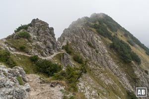 Rückblick auf den Grat zum Niederecksattel kurz vor dem finalen Aufschwung zum Rubihorn