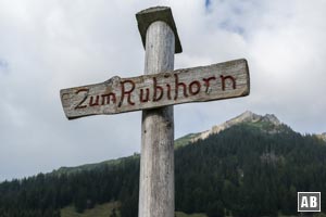 Wegweiser an der Station Seealpe mit dem Gaisalphorn im Hintergrund