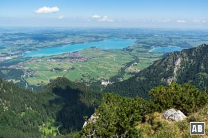 Der Forggensee - der fünftgrößte See Bayerns