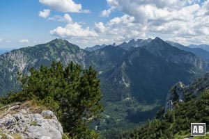 Blick aus dem Säulingsteig in die Ammergauer Alpen