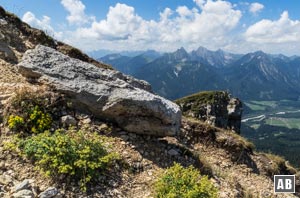 An der Gemswiese: Blick auf die Tannheimer Berge