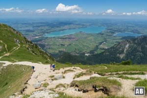 Großartige Aussicht von der Gemswiese auf den Forggen- und den Bannwaldsee - sowie Schloss Neuschwanstein aus der Vogelperspektive