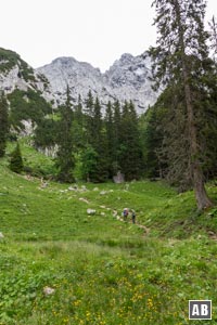 Nach der Kaindlhütte steuern wir über einen steilen Pfad auf die abweisende Nordwand des Scheffauer zu