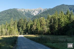 Entlang der Neidernach wandern wir zunächst flach taleinwärts unserem Ziel entgegen