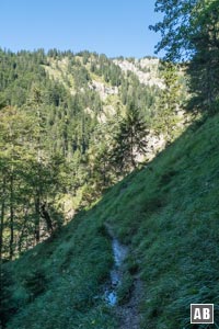 Schmale, steile und oft ausgesetzte Steige sind typisch für den Aufstieg zur Schellschlicht. Die Wege dürfen keinesfalls unterschätzt werden!