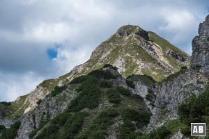 Ein erster Blick auf den Gipfel der Schellschlicht