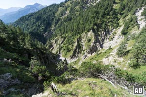 Blick zurück in die urwaldlichen Landschaft der Schellaine