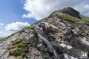 Zuletzt recht steil über den Südostgrat zum Gipfelkreuz