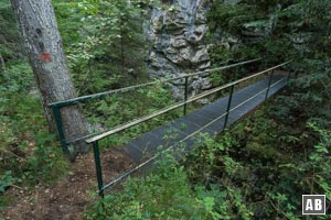 Nach der Brücke über die Schellaine schließt sich unsere Runde. In wenigen Schritten sind wir an der Weggabelung an der wir zum Sunkensattel aufgestiegen sind. 
Von dort auf den bekannten Weg zurück nach Griesen.