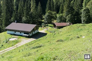 Die Brachfläche der Höchstegenalm (1.159 m) wird beim Aufstieg nur tangiert