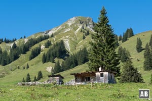 Am Eingang in das großvolumige Weideareal der Gröbneralm kommen wir an diesem Unterstand vorbei. Im Hintergrund der Rether Kopf.