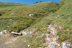 Oberhalb der Almhütten verlassen wir den planierten Wanderweg. Für die letzten Meter hinauf zum Gröbner Hals in den markierten Wiesenpfad einfädeln.