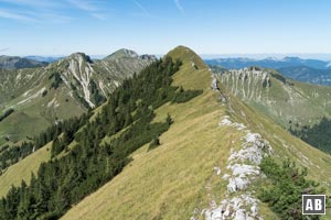 Für den Weg hinüber zur Schreckenspitze immer an die deutlich sichtbaren Spuren in unmittelbarer Nähe der Gratkante halten. Hier der Rückblick auf die Sonntagsspitze nach den ersten Metern.