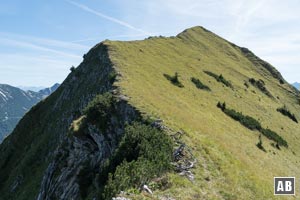 Beim Übergang zur Schreckenspitze wird unschwierig der kreuzlose Gipfel der Moosenspitze überschritten.