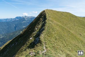 Zuletzt wird (wieder in einfachem Gehgelände) dem Gipfel der Schreckenspitze die Ehre gegeben