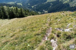 Zuletzt wird die Gipfelhöhe durch den Anstieg durch Steilgras erklommen (hier der Rückblick)...