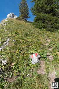 Wiederum im Steilgras himmelwärts auf die Grathöhe