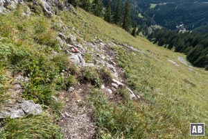 Rückblick auf den Halbkreis durch das Steilgras