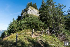 ...an deren oberen Ende der Weidezaun überwunden wird