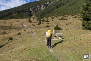 An der Straße nach links den Trittspuren über die Wiese folgen