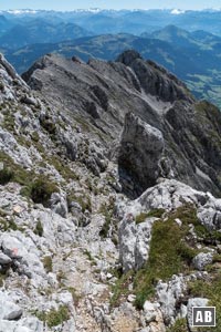 Übergang zum Tuxeck: Wir klettern unterhalb des Treffauer-Gipfelkreuzes zum sichtbaren Pfad ab.