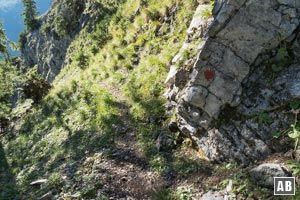 Der kaum ausgeprägte Pfad unterhalb der Waldgrenze. So eine deutliche Markierung wie hier ist im Abstieg eher selten zu finden.