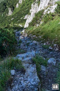 Rückblick auf den steilen Weiterweg vom Wasserfall durch die Latschen in Richtung Schneekar