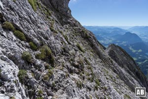 Im ausgesetzten Pfad zum Tuxeck