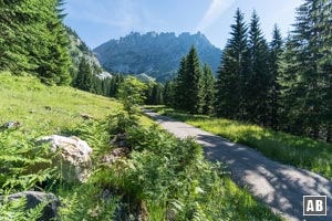 Auf der planierte Promenade (Weg 812) wandern wir hoch zur Gaudeamushütte