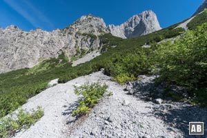 Durch bewaldetes Terrain und in Serpentinen einen Latschenhang empor