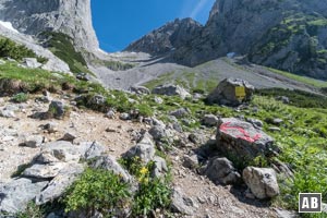 Oberhalb der Latschen treffen wir auf den querenden Wilder-Kaiser-Steig. Hier nach links einfädeln.