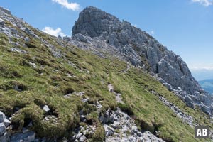 Am Scheitelpunkt der letzten Kehre zieht nach rechts eine Trittspur in Richtung Felsen - hier beginnt unser Abenteuer 'Vordere Goinger Halt'