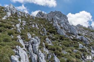 ...zu einer Wiese - über die wir wieder zum Nordgrat hinaufsteigen (Gehgelände)