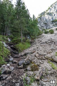 Über den steilen Steig am Rande des Geröllfeldes erreichen wir den Einstieg in den Hohen Gang