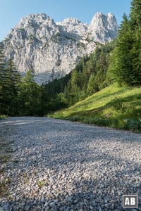 Der breite Forstweg von Mittenwald bis zur Materialseilbahn der Dammkarhütte
