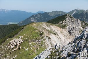 Rückblick nach dem ersten Aufschwung auf den Wörnersattel