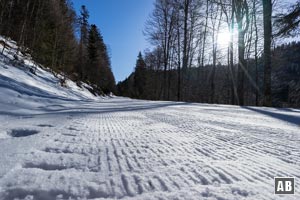 Der erste Teil über die präparierte Langlaufloipe zieht sich und ist etwas monoton.