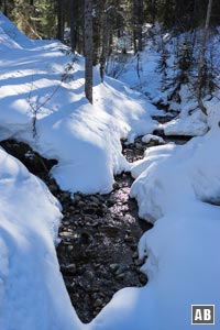 Entlang des Dürrnbachs wandern wir gemütlich bergwärts.