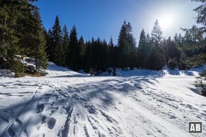 An der Lichtung Kohlstatt ignorieren wir den querenden Forstweg und gehen geradeaus weiter.