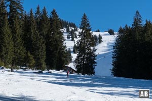 In Fortsetzung in freies Terrain und jenseits zur Dürrnbachalm.