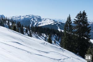 Aussicht aus dem Gipfelhang in das Skigebiet der Steinplatte.