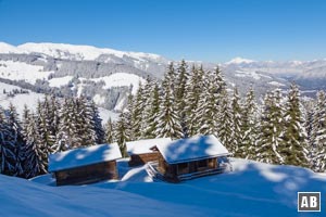 Wir stapfen nach den Hütten der Unteren Prädastenalm hoch in den Wald, traversieren hinaus in die nächste baumlose Bucht