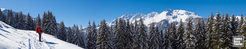 Schneeschuhtour am Feldalphorn: leichter Aufstieg - große Aussicht