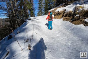 Schneeschuhtour Grünstein: In der breiten, stattlich geneigten Wintertrasse zur Grünsteinhütte