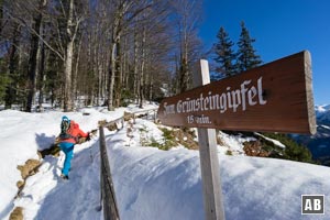 Schneeschuhtour Grünstein: Entlang eines Holzgeländers schließen wir zum Gipfel an