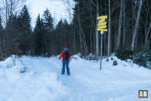 Findet sich am Start bereits eine verdichtete Spur, können die Schneeschuhe im Auto bleiben