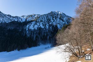 Blick von der Holzpointalm auf den Kratzer (rechts)